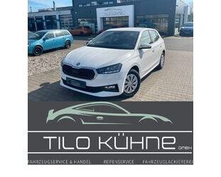 Skoda Skoda Fabia Selection Gebrauchtwagen