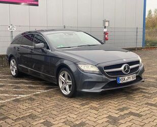 Mercedes-Benz Mercedes-Benz CLS 250 Shooting Brake 4 Matic AHK / Gebrauchtwagen