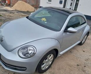 VW Volkswagen Beetle 1.2 TSI Design Pano,SHZ,Tempomat Gebrauchtwagen