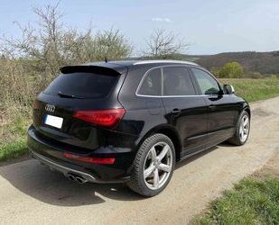 Audi Audi SQ5 3.0 TDI quattro - Sitzlüftung/Kamera/Pano Gebrauchtwagen