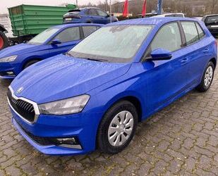 Skoda Skoda Fabia 1.0 Selection LED PDC NSW Gebrauchtwagen