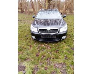 Skoda Skoda Octavia 2.0 TDI Ambiente Combi Ambiente Gebrauchtwagen