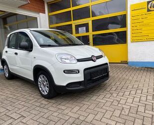 Fiat Fiat Panda 1. HAND KLIMA DAB CITY Gebrauchtwagen