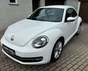 VW Volkswagen Beetle 