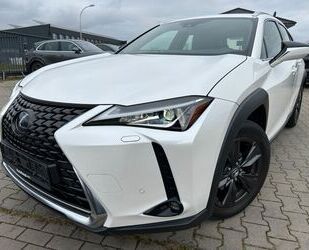 Lexus Lexus UX250H Luxury Line* 2 x Farbe leder Gebrauchtwagen