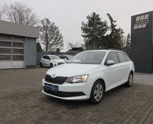 Skoda Skoda Fabia 1.0TSI ACT. GREEN TEC+ COOL & SOUND A Gebrauchtwagen