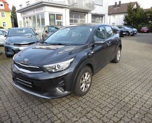 Kia Kia Stonic 1.2 Edition 7 Emotion Gebrauchtwagen