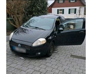 Fiat Fiat Punto 1.9 Multijet 8V Sport ohne TÜV Gebrauchtwagen