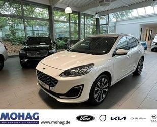 Ford Ford Kuga PHEV Vignale 20 B&O ACC BLIS Memory Kame Gebrauchtwagen