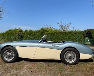 Austin Healey Austin Healey 100/6 BN6 Zweisitzer Gebrauchtwagen