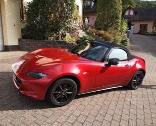 Mazda Mazda MX-5 Sports-Line Gebrauchtwagen