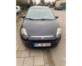 Fiat Fiat Punto 1.2 8V POP POP Gebrauchtwagen