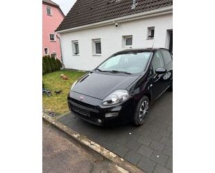 Fiat Fiat Punto 1.2 8V - Gebrauchtwagen