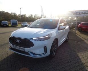 Ford Ford Kuga ST-Line X Gebrauchtwagen