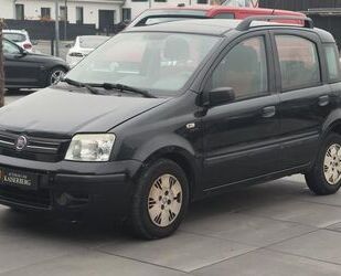 Fiat Fiat Panda 1.2 8V Dynamic Metallic Gebrauchtwagen