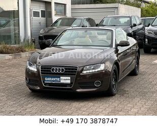 Audi Audi A5 Cabriolet 2.0 TFSI*Aut*Navi*PDC*LEDER*LED Gebrauchtwagen