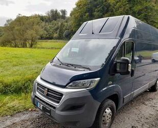 Fiat Fiat Ducato Gebrauchtwagen