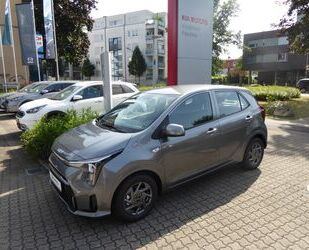 Kia Kia Picanto 1.2 Vision (JA) Gebrauchtwagen