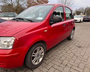 Fiat Fiat Panda 1.2 8V Classic Gebrauchtwagen