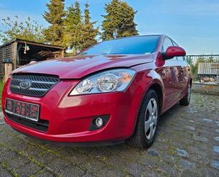 Kia Kia ceed / Ceed 1.4 CVVT LX Basis LX Basis Gebrauchtwagen