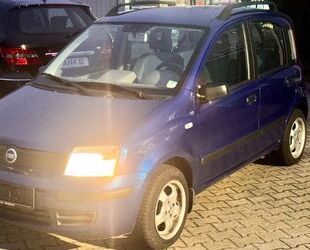 Fiat Fiat Panda 1.1 8V Active 1.Hd/KEIN TÜV Gebrauchtwagen