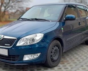 Skoda Skoda Fabia 1.2l TDI GreenLine Combi Gebrauchtwagen