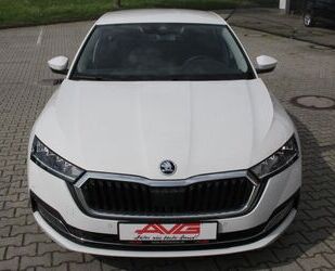 Skoda Skoda Octavia TDI Selection Sitzheizung LED CAM Sm Gebrauchtwagen