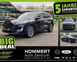 Ford Ford Kuga 2.0 EcoBlue AWD Titanium X *Kamera*ACC*P Gebrauchtwagen