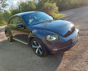 VW Volkswagen Beetle 2.0 TDI DSG CUP CUP Gebrauchtwagen