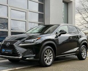 Lexus Lexus NX 300h*BUSINESS LINE*ACC*KAMERA*LEDER*NAVI* Gebrauchtwagen