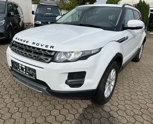 Land Rover Land Rover Range Rover Evoque Pure* Gebrauchtwagen