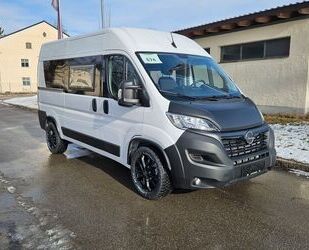 Opel Opel Movano L2H2 3,5t Edition Campervorbereitung Gebrauchtwagen