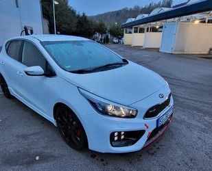 Kia Kia ceed / Ceed 1.6 T-GDI GT-Track GT-Track Gebrauchtwagen