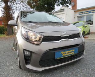 Kia Kia Picanto Dream Team Navi Kamera Allwetter Gebrauchtwagen