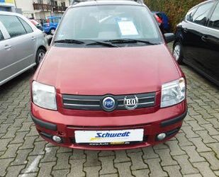 Fiat Fiat Panda 1.2 8V Dynamic Gebrauchtwagen