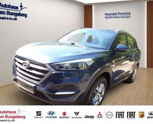 Hyundai Hyundai Tucson 1.6 GDI 2WD SOKO Navi Klimaautom Si Gebrauchtwagen