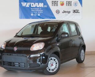 Fiat Fiat Panda Base 1.0 MildHybrid *sofort* Gebrauchtwagen