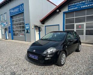 Fiat Fiat Punto Pop 1.2 KLIMA 5-TÜRIG Gebrauchtwagen