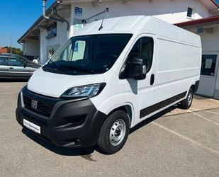 Fiat Ducato Gebrauchtwagen