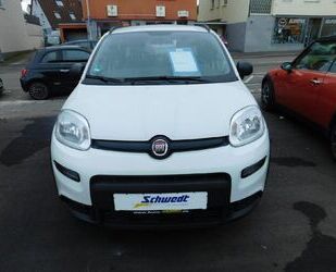 Fiat Fiat Panda City Life Gebrauchtwagen