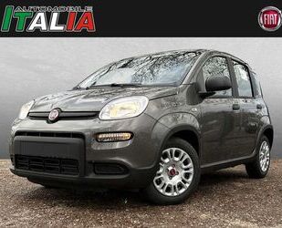 Fiat Fiat Panda 1.0 GSE Hybrid Gebrauchtwagen