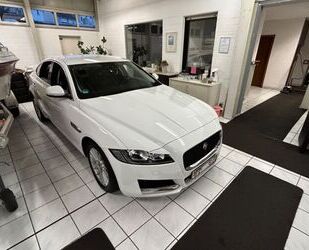 Jaguar Jaguar XF Prestige 2.0D navi,Leder,Voll Gebrauchtwagen