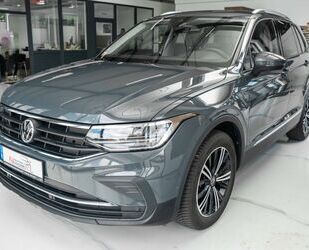 VW Volkswagen Tiguan Active ACC/LED/NAVI/KAMERA/PDC V Gebrauchtwagen