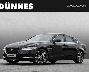 Jaguar XF Gebrauchtwagen