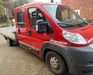 Fiat Fiat Ducato Gebrauchtwagen