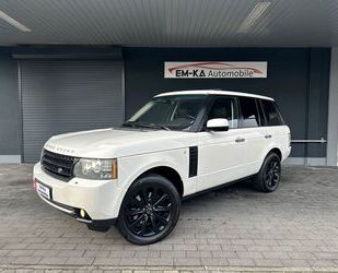 Land Rover Land Rover Range Rover 3.6 TDV8 HSE°Leder°Nav°Xeno Gebrauchtwagen