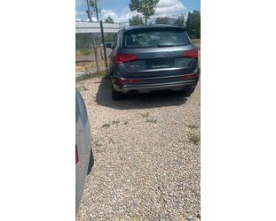 Audi Audi SQ5 3.0 TDI comp. tiptr. quattro - Gebrauchtwagen