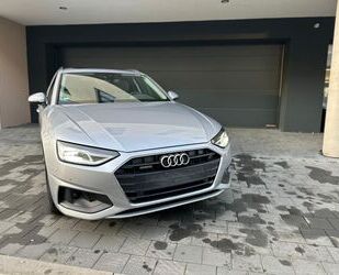 Audi Audi A4 Avant 50 TDI qu |NAVI|LED|AHK|PANO|PDC+|WR Gebrauchtwagen