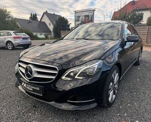 Mercedes-Benz Mercedes-Benz Lim. E 250 BlueTec Panoramadach,LED, Gebrauchtwagen