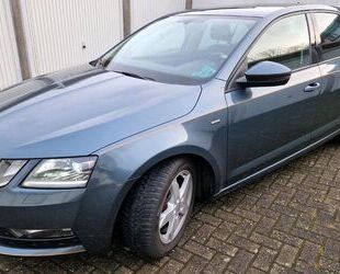 Skoda Skoda Octavia 1.6 TDI 66kW Active Active Gebrauchtwagen